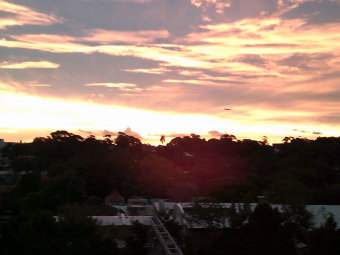 Kylie sunset  