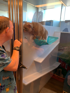 Nick with a cat