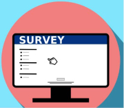 Online survey