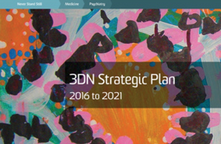 3DN Strategic Plan 2016-2021