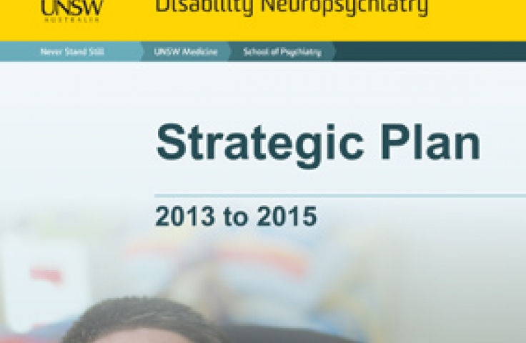 3DN Strategic Plan 2013-2015
