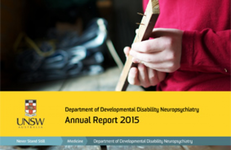3DN Annual Report 2015
